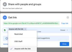 Google Drive anyone with the link