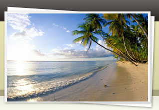 bg-portrait0_sample_file